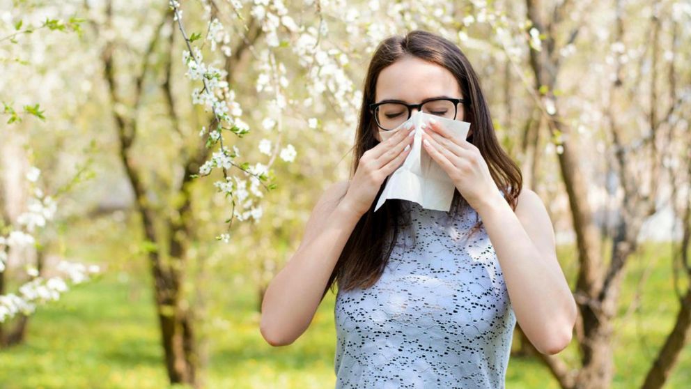 Llega la primavera... y con ella, las alergias