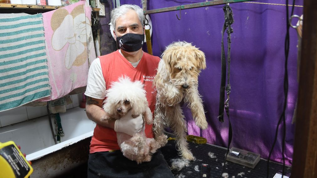 Muchos llevan a los pichichos a darse un baño (Crónica/Rúben Paredes)