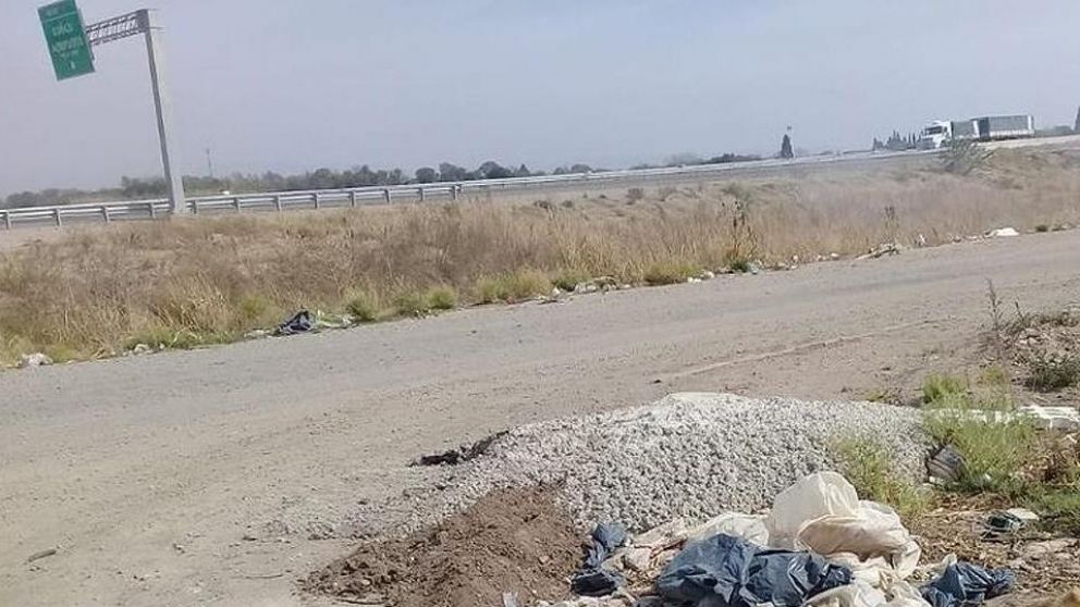 Los animales eran tirados a la vera de una ruta.