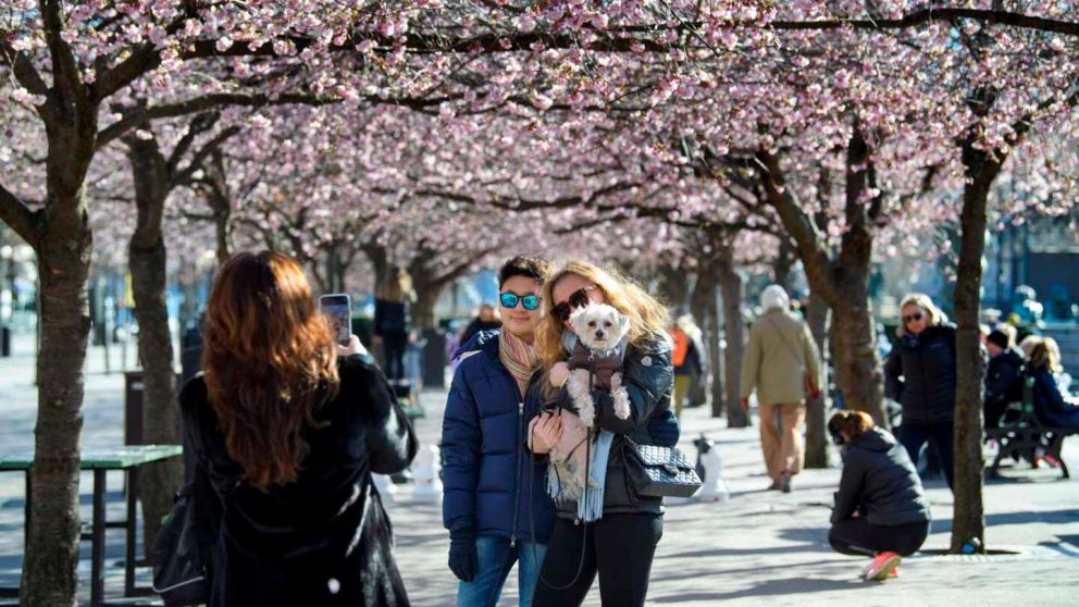 Suecia acumula muchas más muertes per capita por coronavirus que sus vecinos escandinavos (Gentileza EFE).