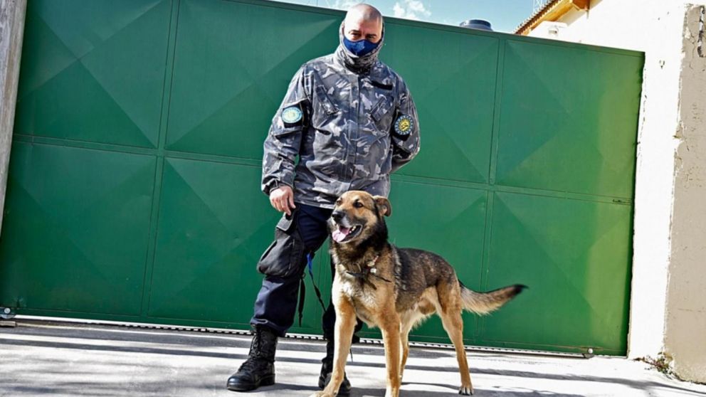 El perro Yatel encontró pistas sobre Facundo Astudillo Castro que vinculan a uniformados.