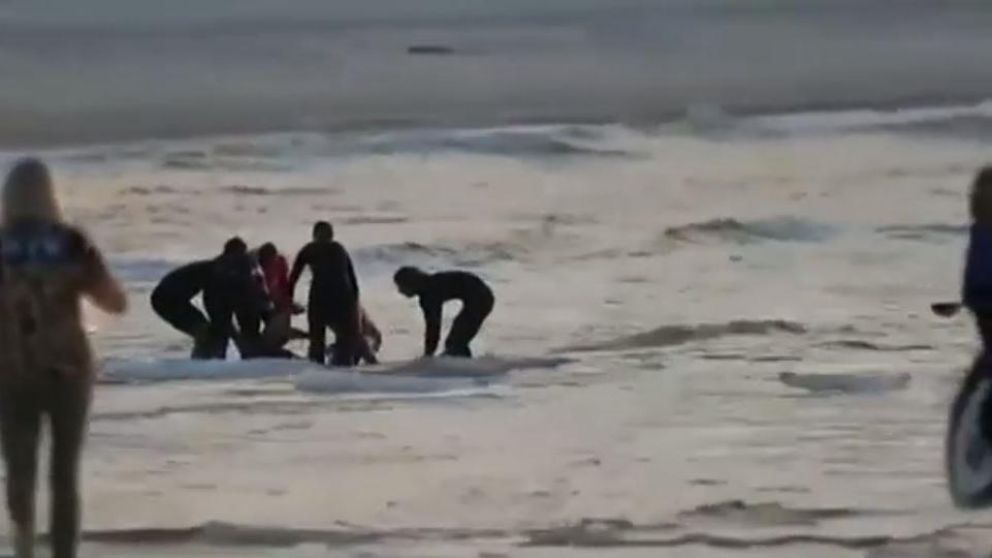 Un grupo de compañeros lo atendieron atendieron rápidamente. (Captura de video)