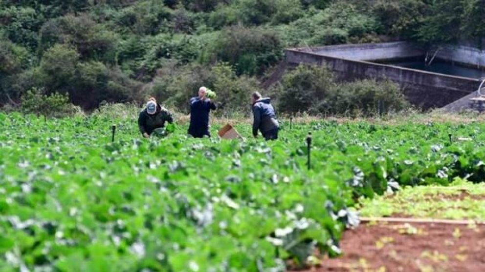 La�agricultura es una de las actividades m�s importantes en nuestro pa�s.