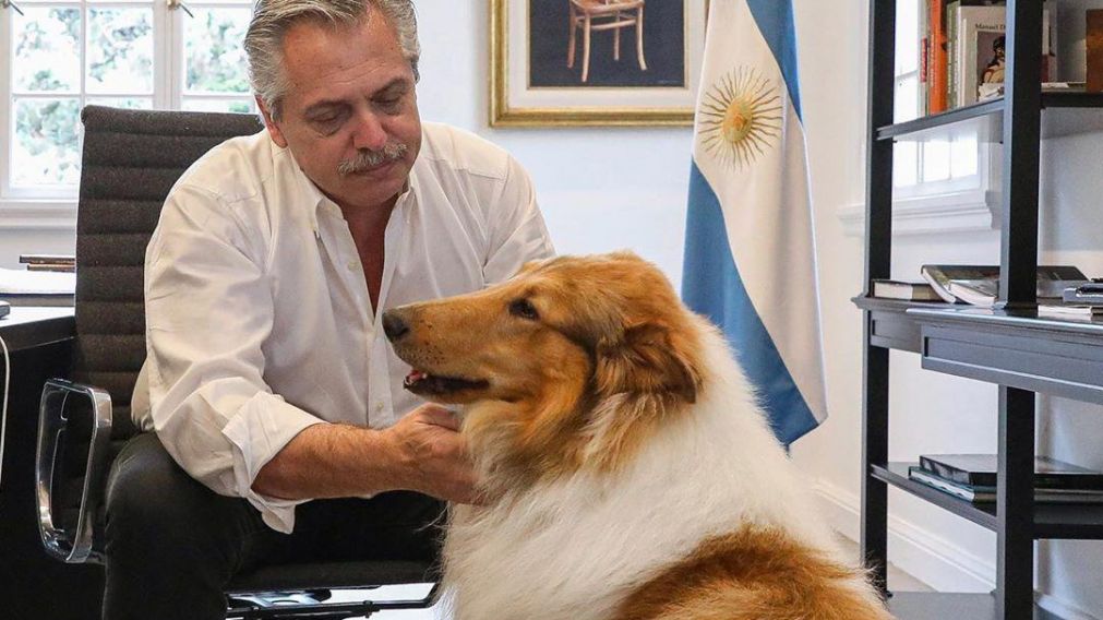 "Es hermoso", dijo la mujer sobre el collie, sobrino de Dylan.
