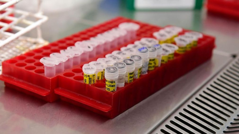 La vacuna china, una nueva esperanza con el Coronavirus (Télam).