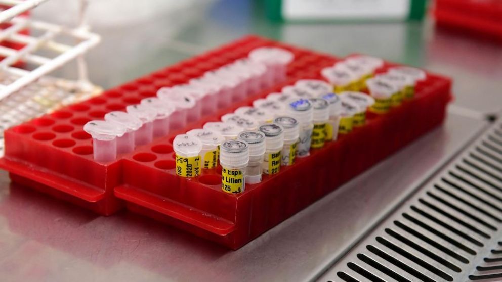 La vacuna china, una nueva esperanza con el Coronavirus (Télam).