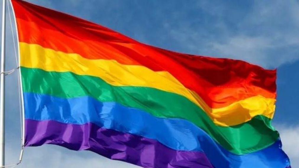Desde 2012 se conmemora el Día del Activismo por la Diversidad Sexual.