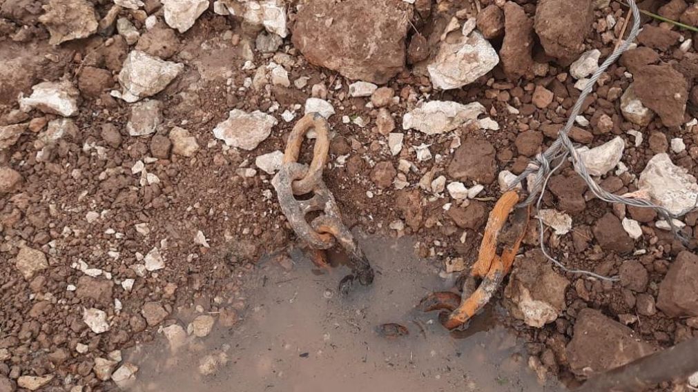 Siete eslabones enlazados fueron encontrados por un pescador.