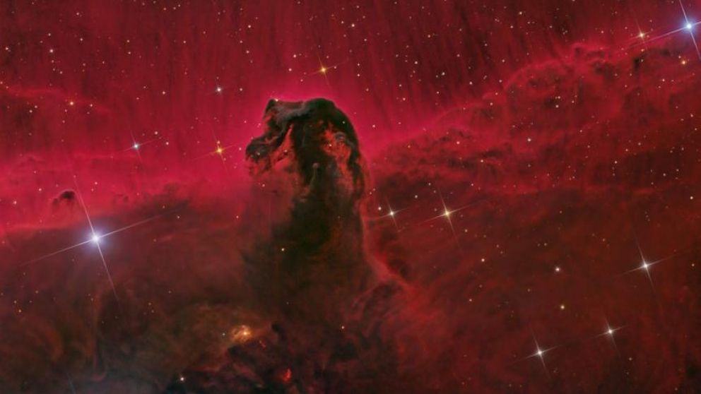 La nebulosa Cabeza de Caballo o Barnard 33 es una nube de gas fría y oscura, situada a unos 1500 años luz de la Tierra.
