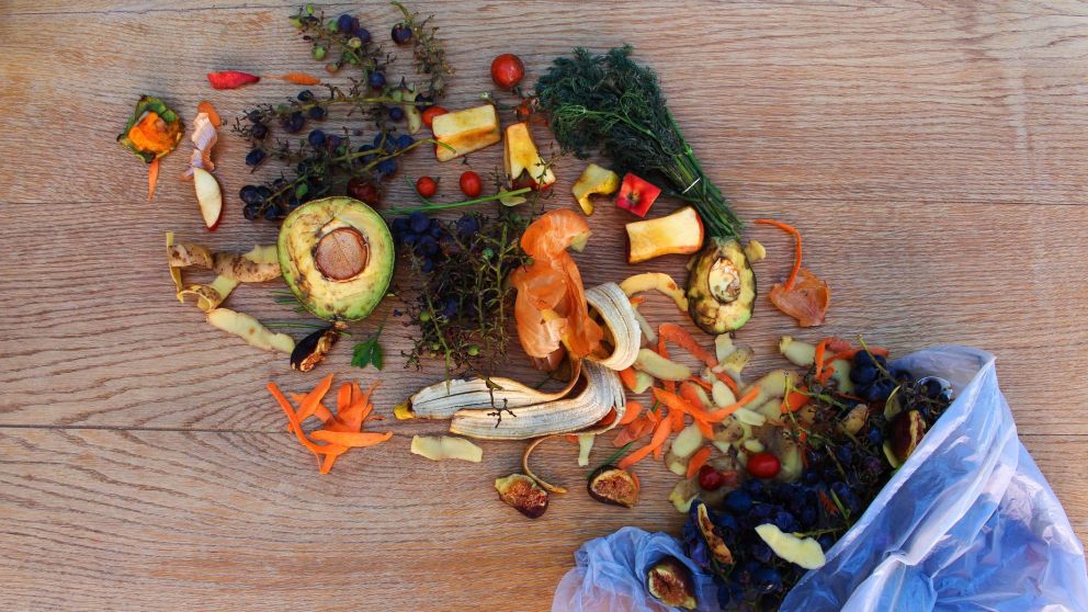 �Por qu� se tira por d�a un kilo de alimentos por habitante en la Argentina?