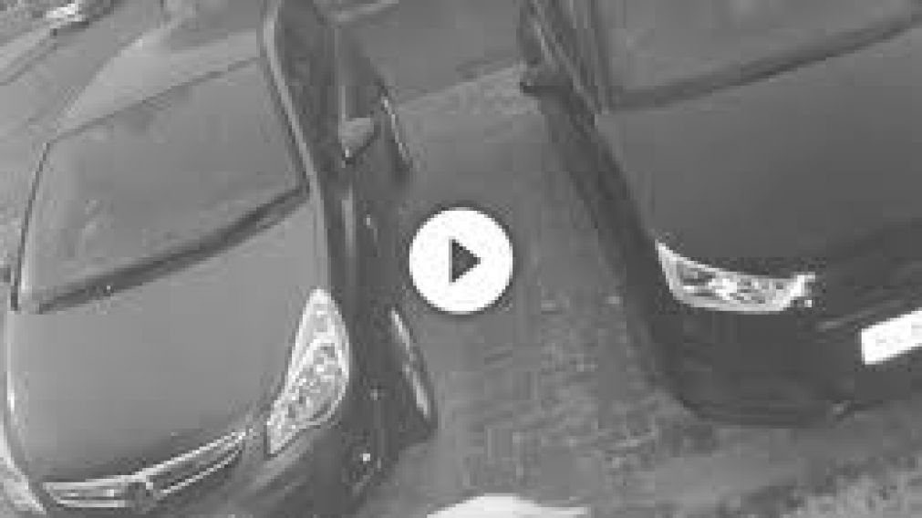 En la imagen del video de la c�mara de seguridad del condado de Essex se ve pasar al gato blanco y, enseguida, otro espectral, gris�ceo, que va detr�s, bien et�reo..