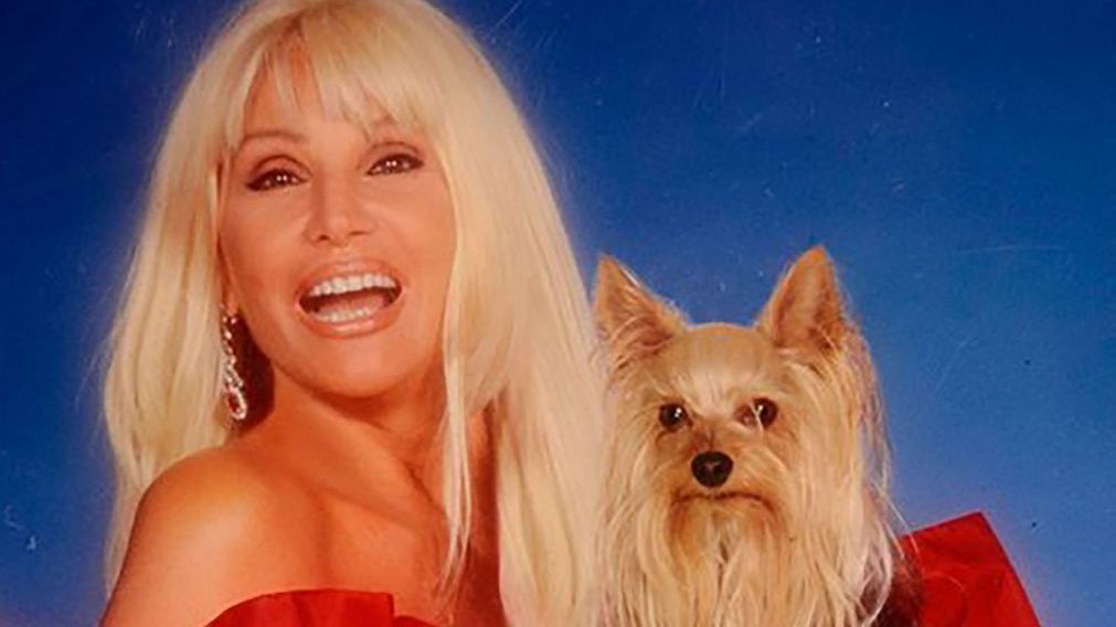 ¿La presencia de Jazmín, el perro de Susana Gimenez, habita en la mansión de la diva?