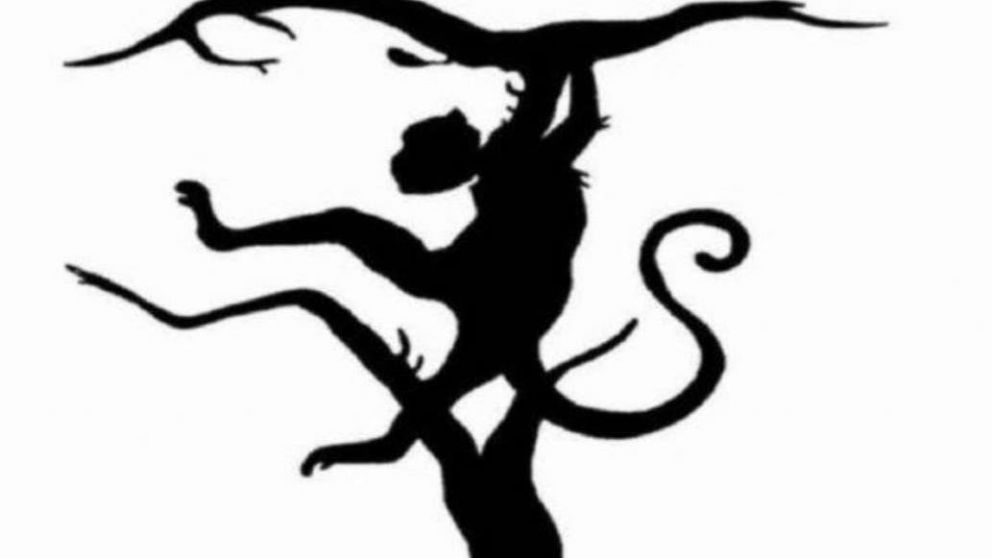 Según el animal visto, es el tipo de personalidad que se refleja (Twitter).