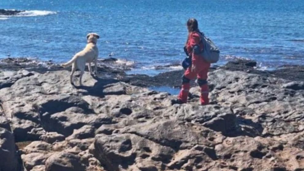 El cadáver fue encontrado en las costas de Santa Cruz (X).