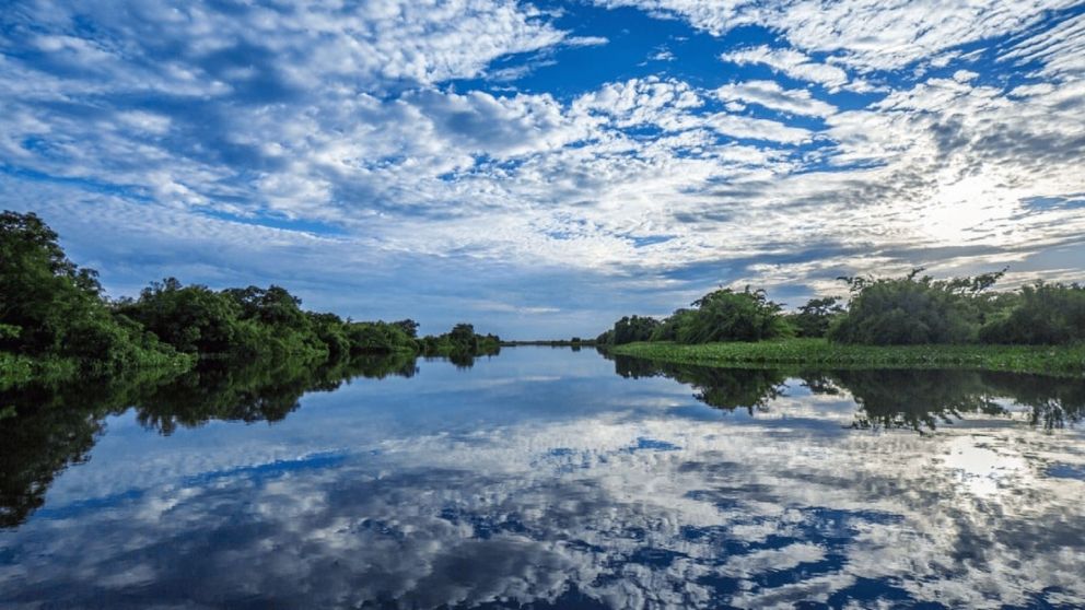 La inmensidad del humedal revelando su belleza entre espejos de agua, vegetación y fauna autóctona.