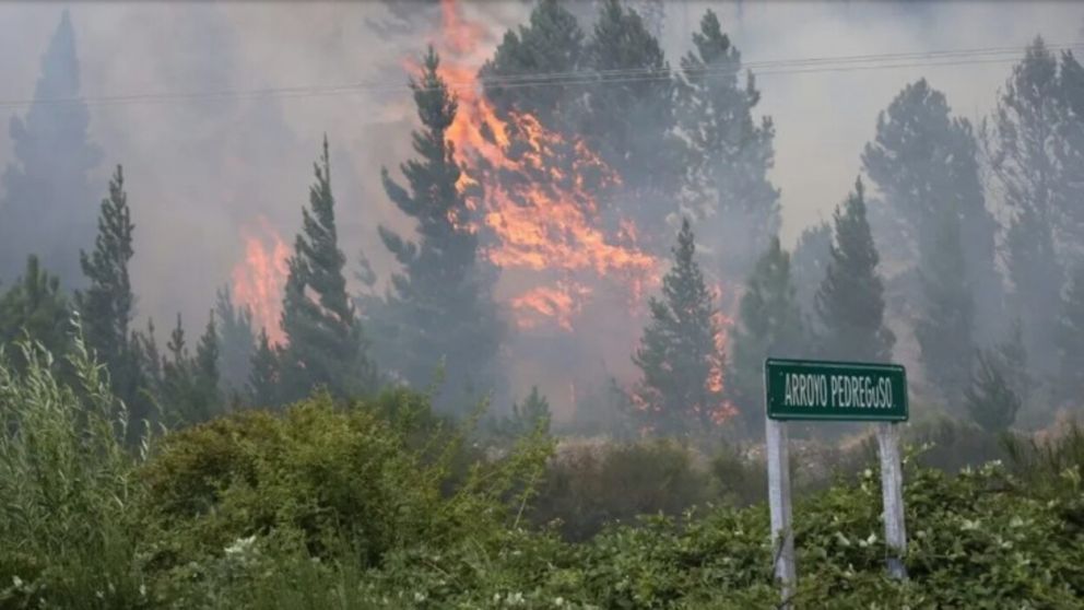El incendio ya afect� a 200 hect�reas en la provincia de Chubut (NA).