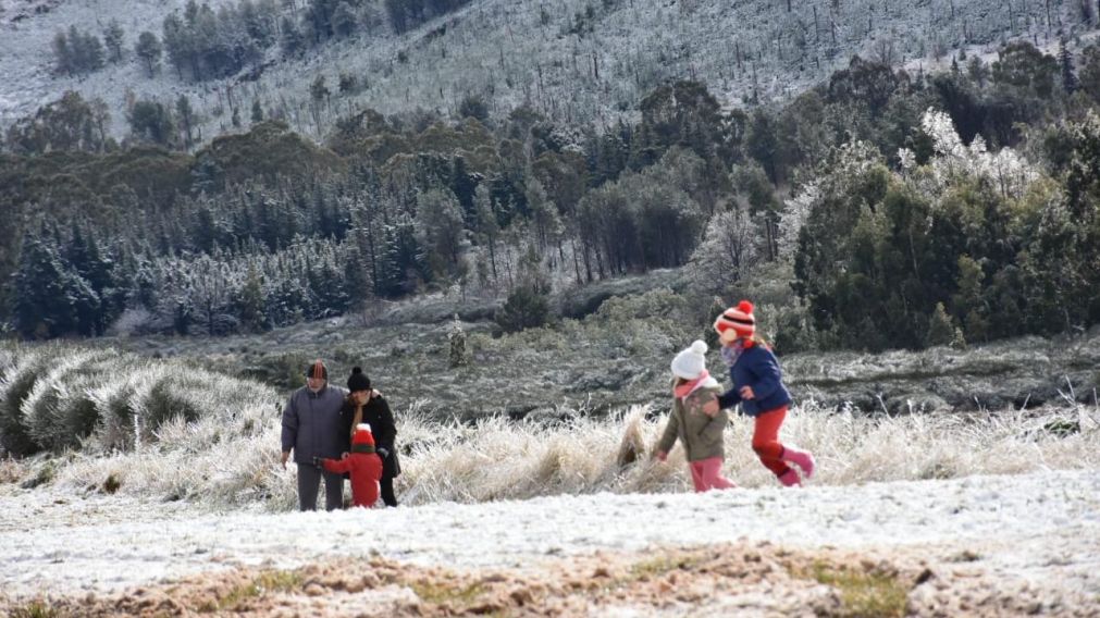 Así nevó en Sierra de la Ventana, Provincia de Buenos Aires (Crónica).