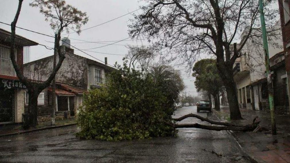 Algunas familias tuvieron que ser evacuadas. (Foto Twitter: @drinnapalmer)