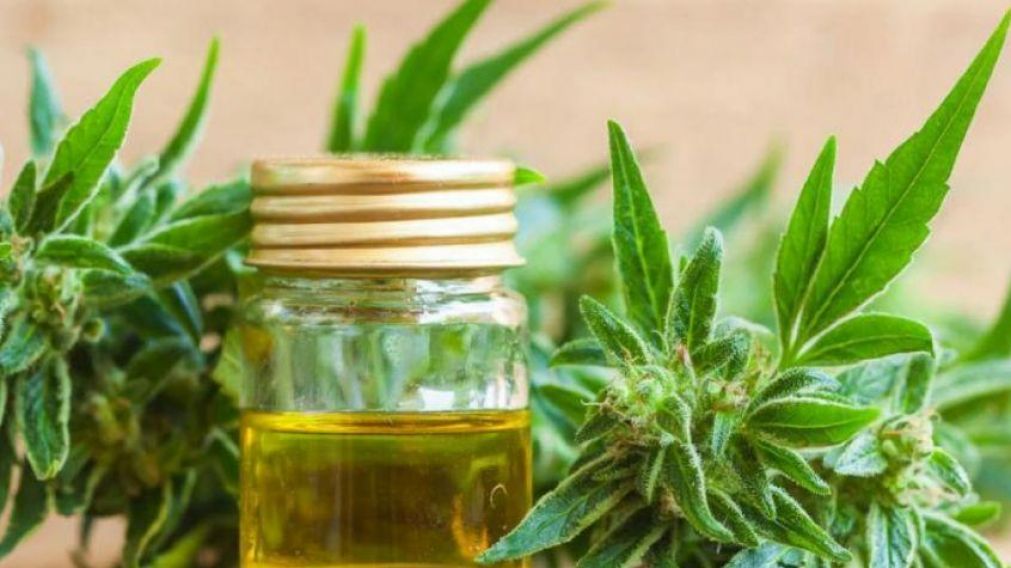 El aceite medicinal puede ayudar a muchas personas a mejorar su estilo de vida (Imagen ilustrativa).