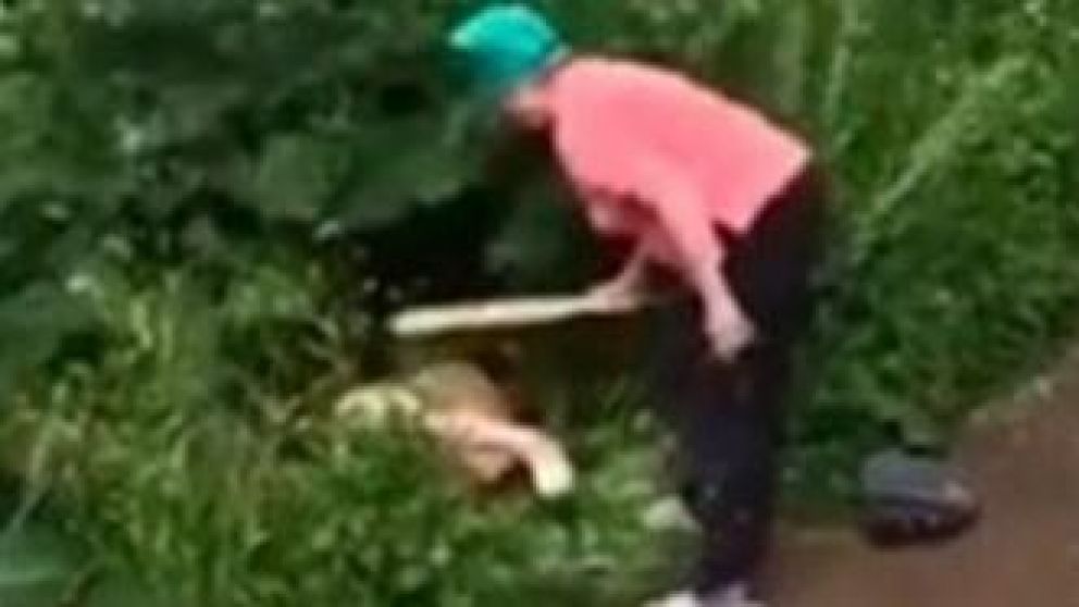 A "Lady Irina" se le "salió la cadena" (Captura de video).