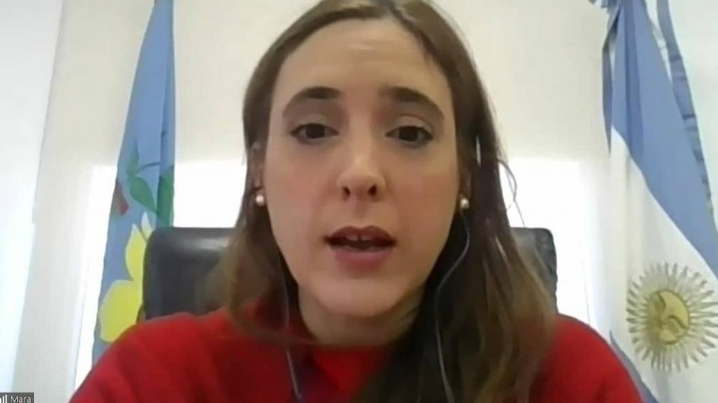 Ruiz Malec dijo que es complejo medir la desocupaci�n cuando "la gente no puede buscar trabajo" (Gentileza @mara_ruiz_malec/Twitter).