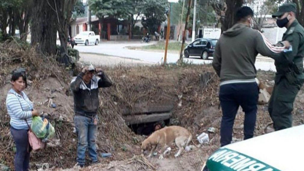Fueron entregados a personal de Migraciones y a la Policía de Bolivia.