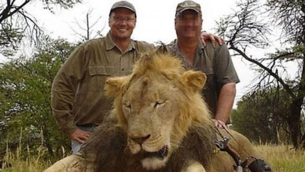En 2015, el cazador estadounidense Walter James Palmer fue noticia por matar a un león.