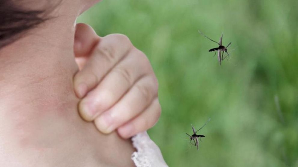 Los casos de dengue en el país ascienden a 54.870, el mayor registro histórico. (Télam)