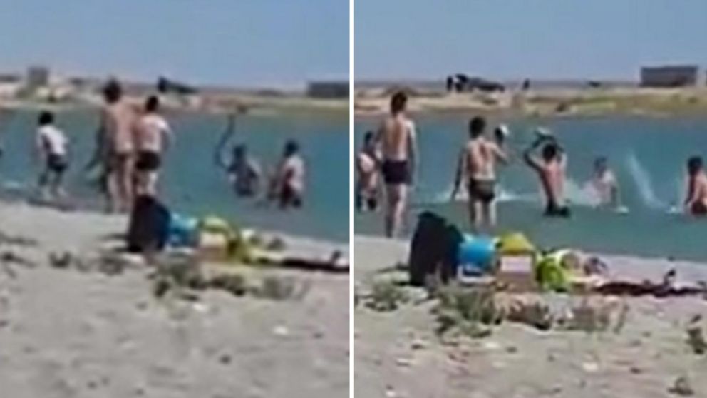 El momento en que el grupo atacó con palos y piedras al animal (Captura).