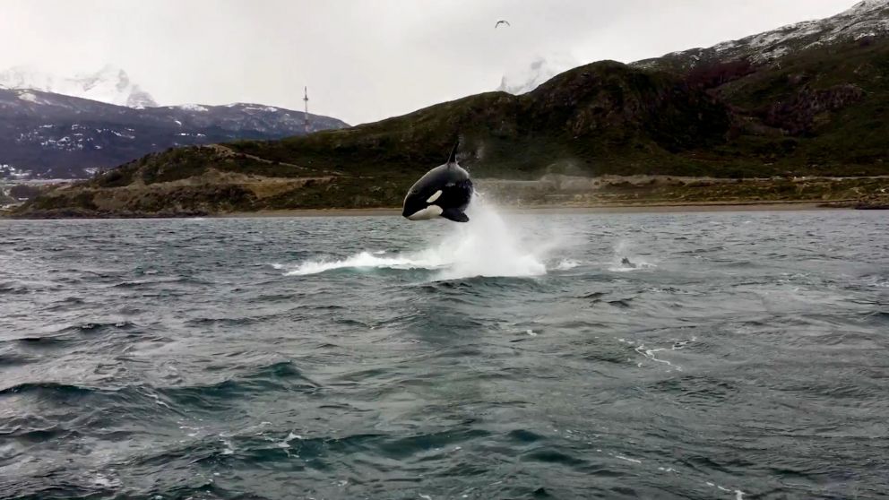 Vecinos de Playa Larga registraron el impresionante momento (Twitter).