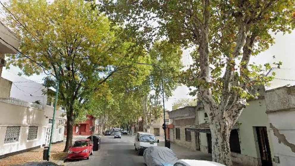 El árbol fue plantado en la calle José Pedro Varela al 5600 (Google Stret View).