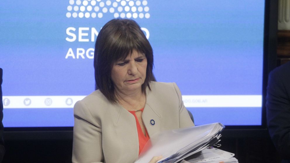 Bullrich denunció a los activistas.