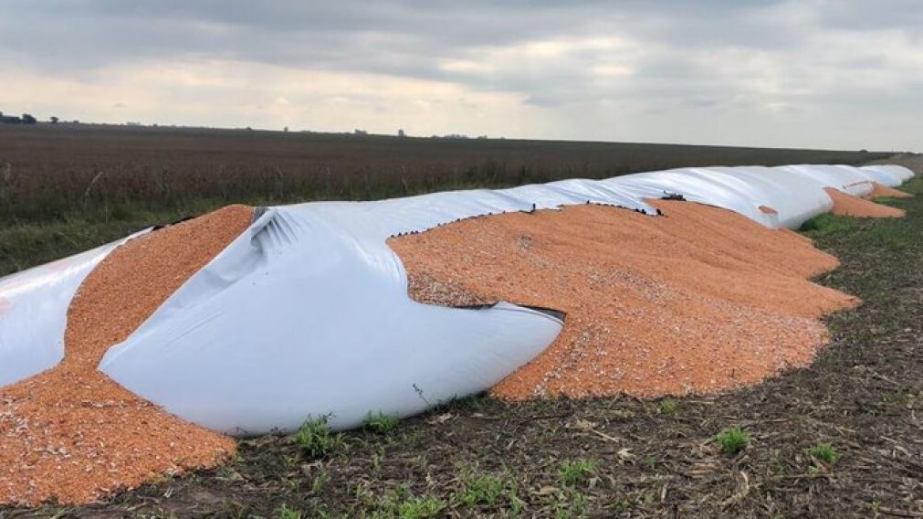 Los ataques a silobolsas, en la nueva disputa entre el campo y el gobierno.