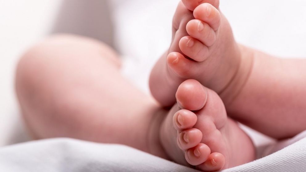 La criatura tuvo una complicación en una enfermedad base (Imagen ilustrativa).