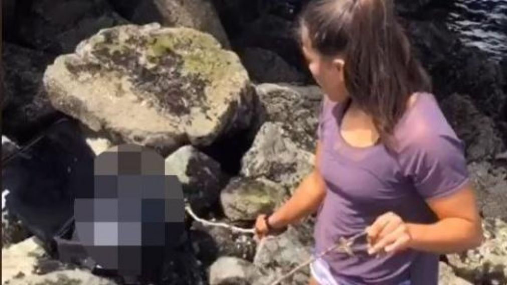 Cuatro adolescentes protagonizaron el macabro hallazgo (Captura).