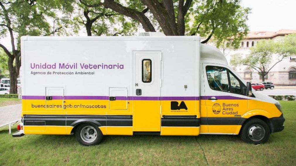 Personal de Zoonosis se acercó para sacar a la culebra (Imagen ilustrativa).