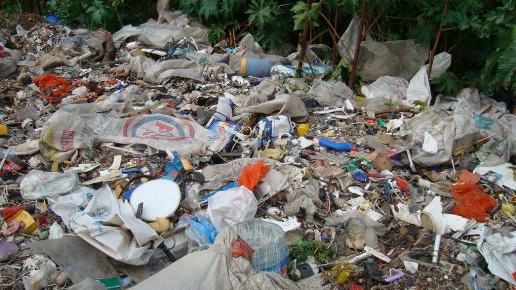 El fuerte suceso tuvo lugar en un basural de Villa Rosa, ubicado a unos 500 metros de la estación ferroviaria.