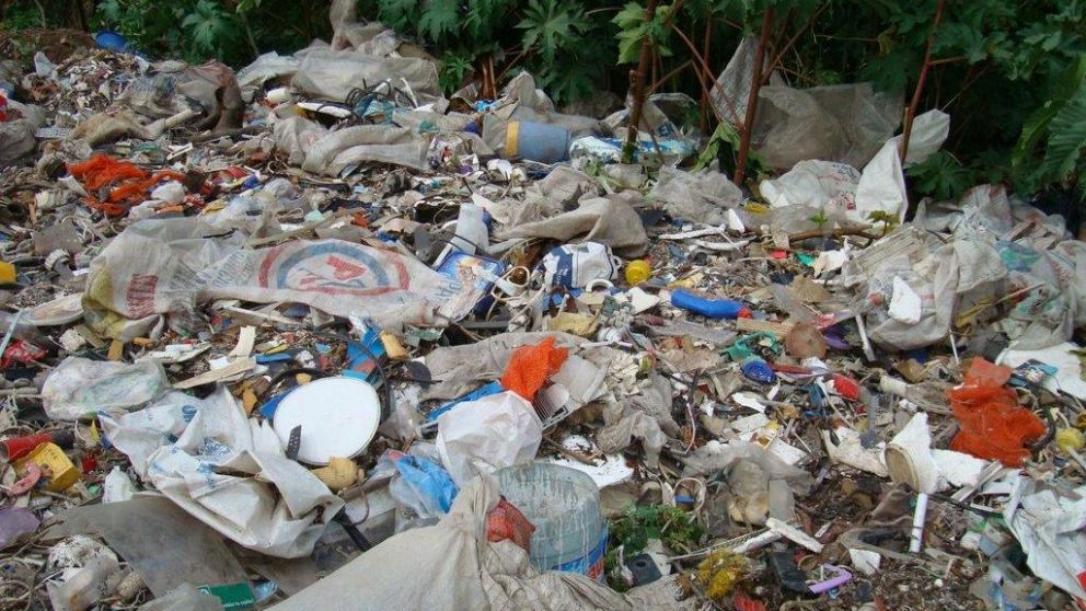 El fuerte suceso tuvo lugar en un basural de Villa Rosa, ubicado a unos 500 metros de la estación ferroviaria.