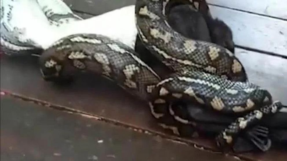 El enfrenamiento fue grabado y publicado en redes (Captura).