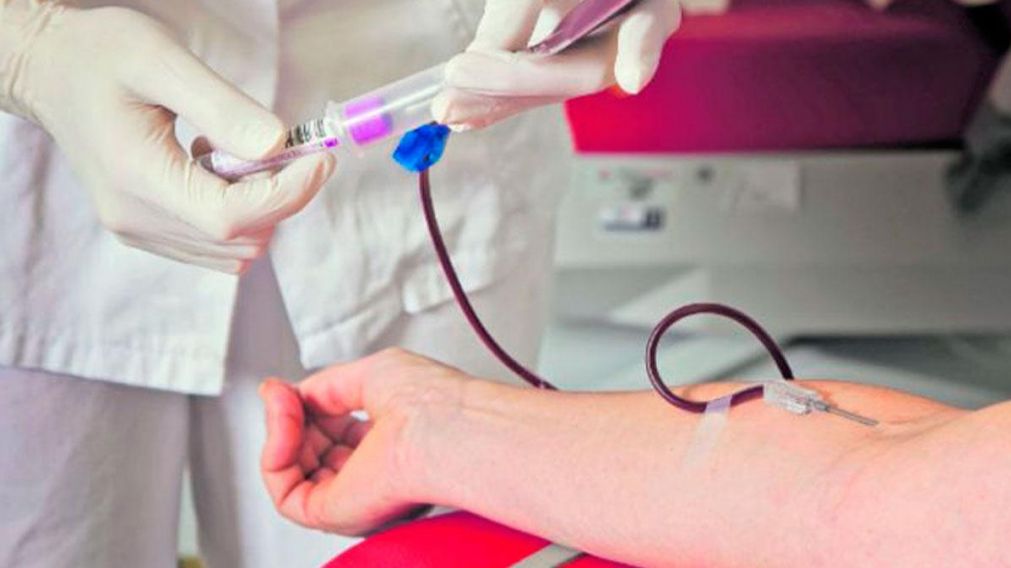 Realizan una capacitaci�n sobre atenci�n sanitaria a personas con TEA