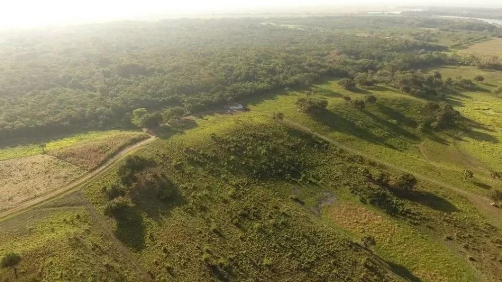 El hallazgo se produjo en el sitio arqueológico de 'Aguada Fénix' en el estado de Tabasco, México.