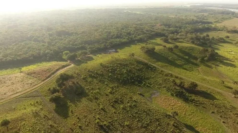 El hallazgo se produjo en el sitio arqueológico de 'Aguada Fénix' en el estado de Tabasco, México.