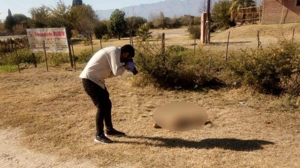 El animal fue despellejado vivo. (Gentileza: Radio Verdad).