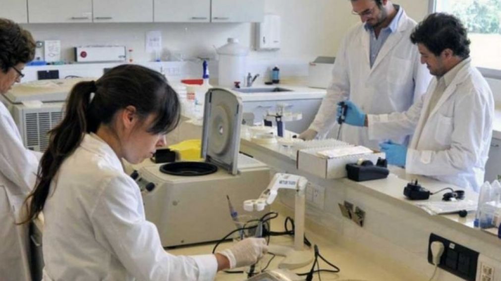 Se trata de distintos procedimientos para combatir la pandemia.