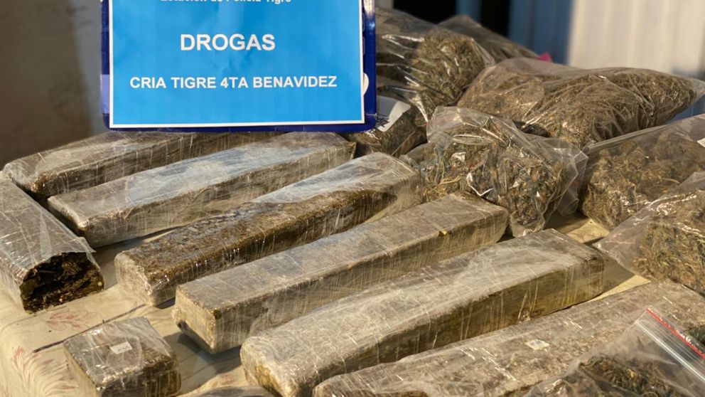 Parte de los panes de marihuana que fueron incautados en poder de los integrantes de la banda de youtubers.