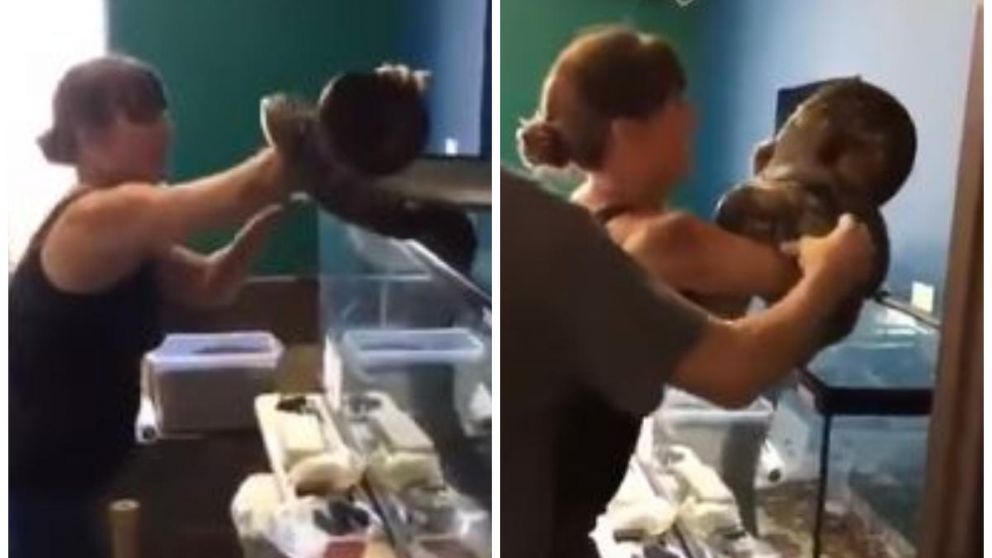 La compañía australiana Snake Catcher Victoria compartió el video en su cuenta de Facebook.