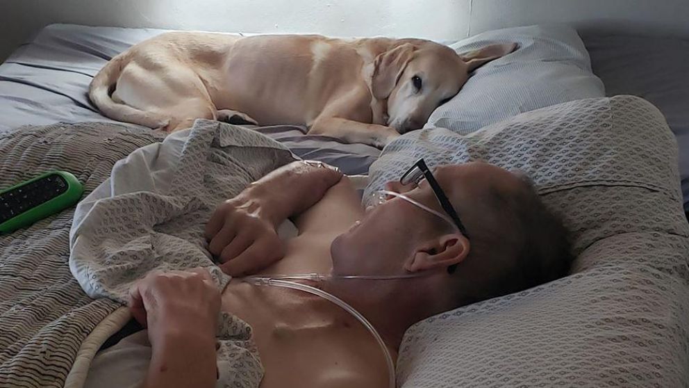 Cuando el anciano entró a su etapa final del cáncer, su perro también decayó.