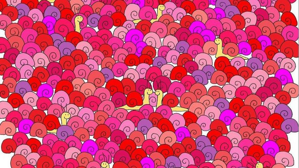 El nuevo reto viral invita a encontrar un corazón entre muchos caracoles.