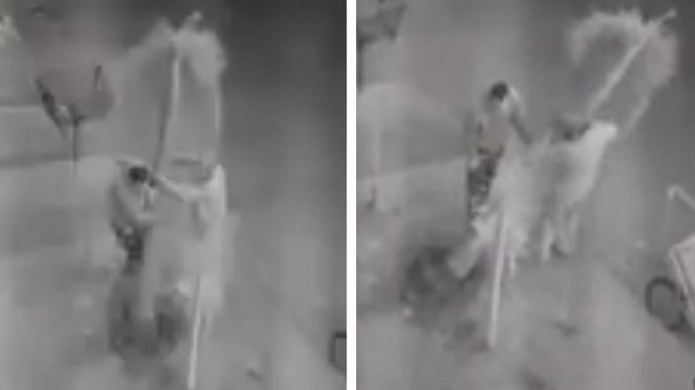 Aprovecharon la cuarentena para robarse una palmera en 15 minutos. (Captura de video)
