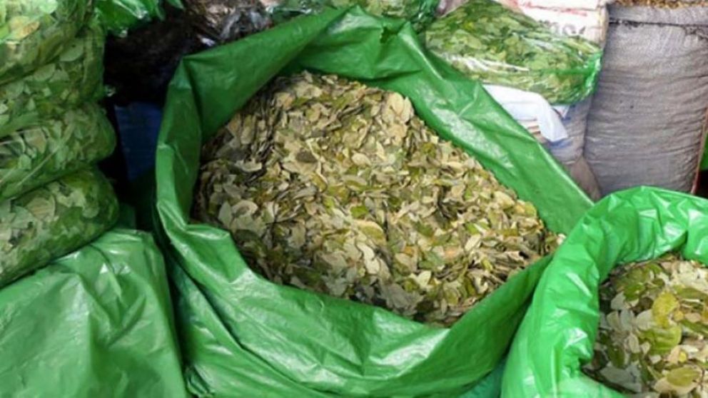 La justicia federal autorizó al gobierno de Jujuy el reparto gratuito de hojas de coca incautadas.